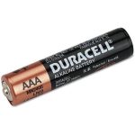AAA Battery 1004256